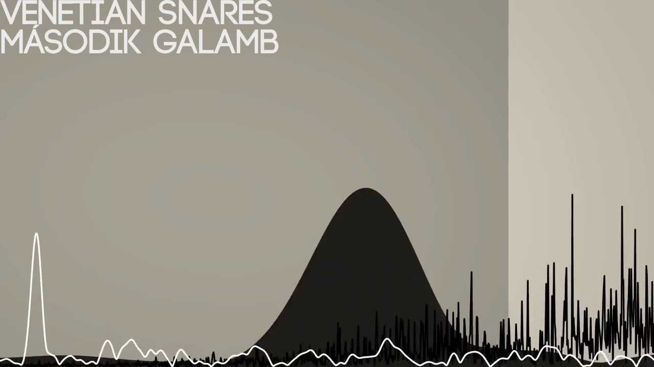 [HQ] Venetian Snares - M&aacute;sodik Galamb