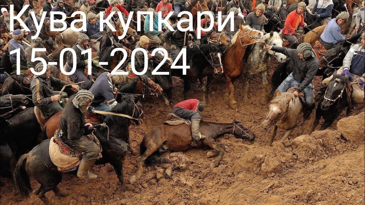 Кува купкари улок 15-01-2024