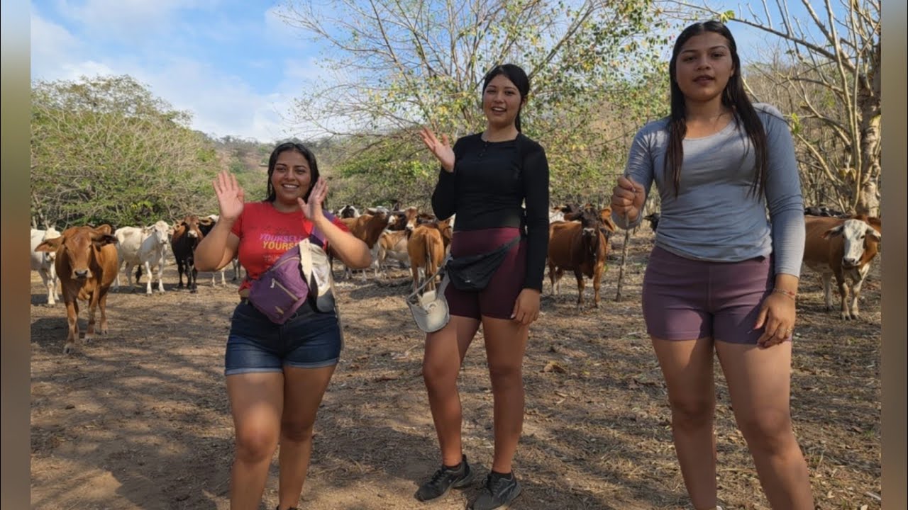 🛑😲 Maria queriendo comprar todo este ganado /CHICAS SALVADOREÑAS 