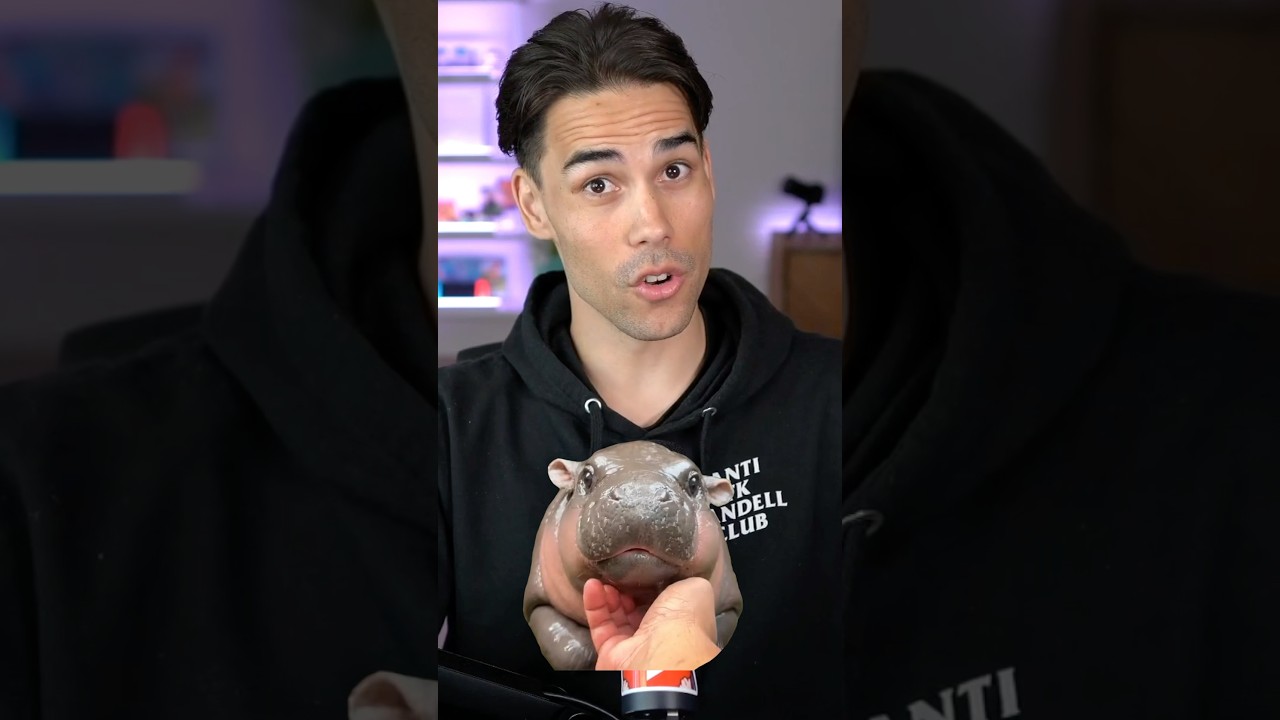 Я ЛЮБЛЮ МУ ДЭН!!! 🦛🩷🩶