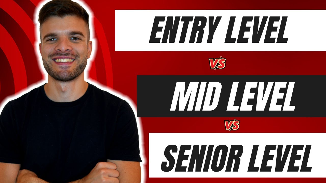 Entry Level vs. Mid Level vs. Senior Level Data Analyst