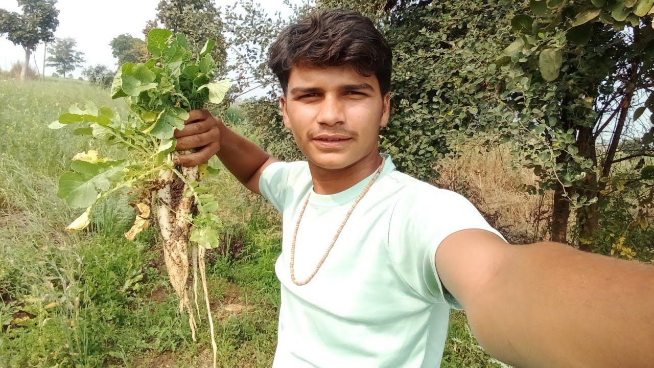 Lakdi Katne Ki Machine Chalu Nahi Ho Rahi? | Wood Cutting Machine Problem #newvlog #villagelife 