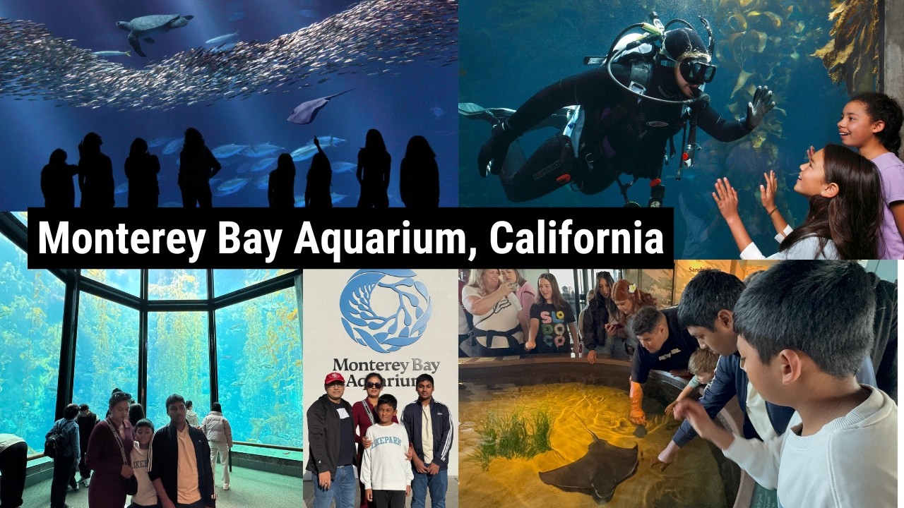 Athouba haraonaba || Visit Monterey Bay Aquarium , California