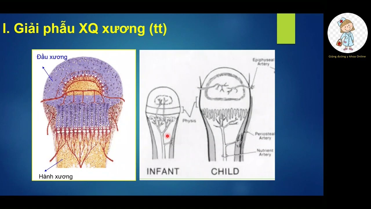 XQUANG XƯƠNG KHỚP KHÔNG DO CHẤN THƯƠNG | BS. LÊ QUANG KHANG