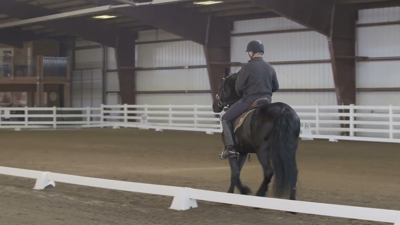 Adrienne Lyle: Warmup with a Friesian