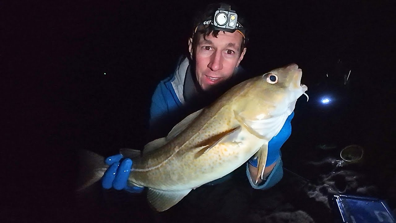 Getting Amongst the Cod! | Rough Ground Cod Fishing In The Arbroath Winter Open