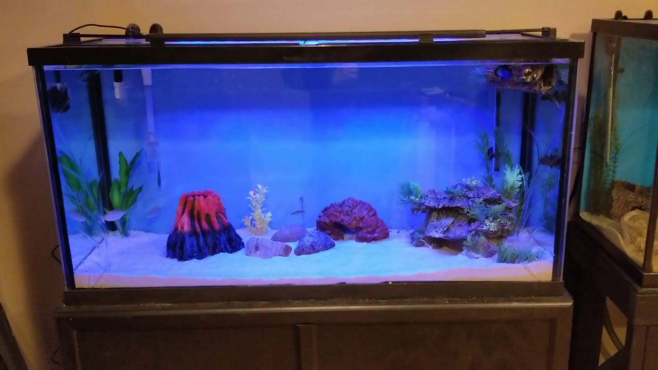 Аквариумный светильник / Распаковка, настройка, обзор / Fluval Plant Spectrum Bluetooth