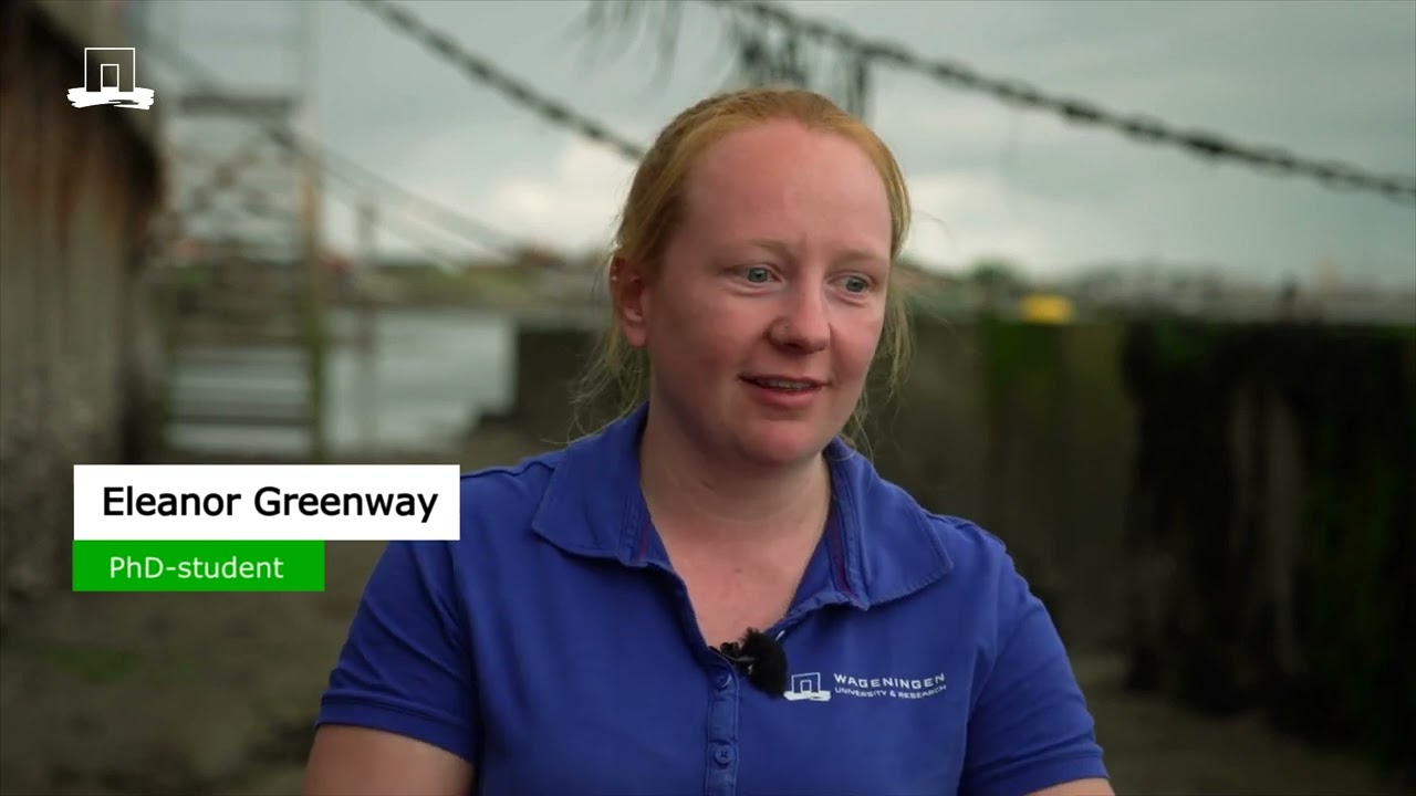 Discardsoverleving van roggen in de Nederlandse visserij