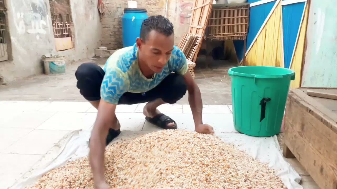 افضل طريقه عمل خلطه اكل الحمام في الشتاء(كوتوادم)
