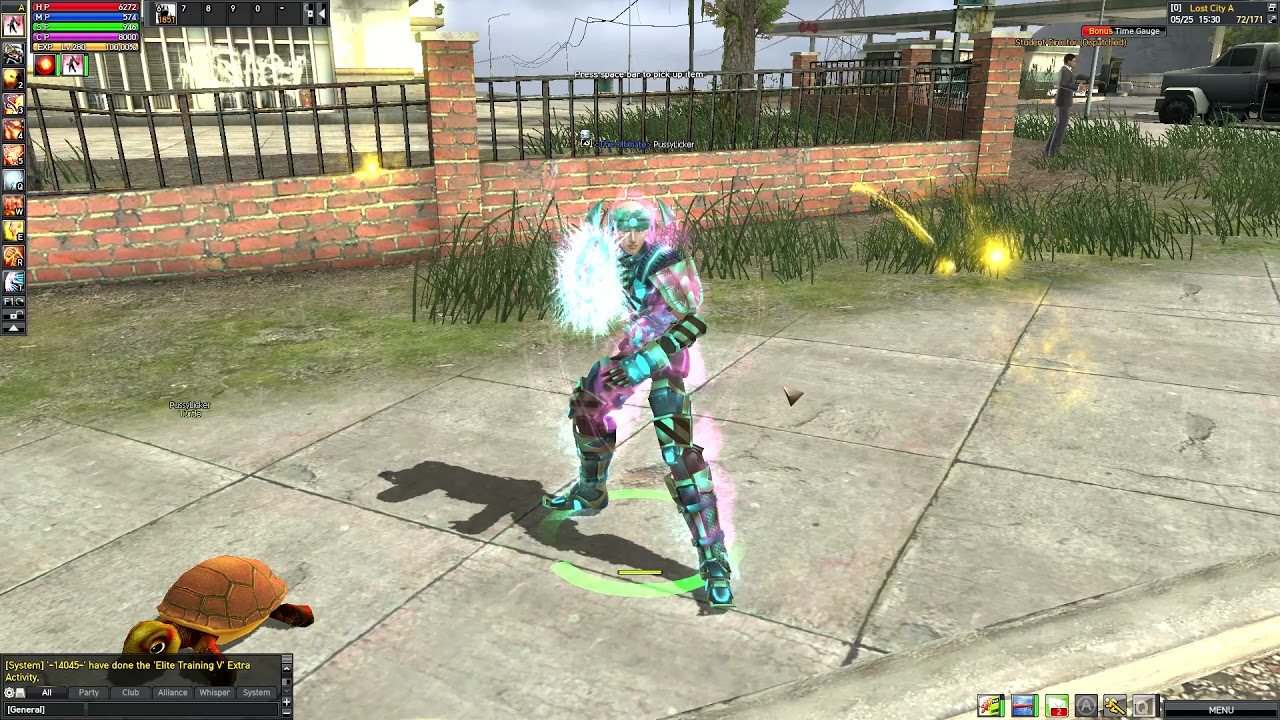 Ran online +10 set ( Int type Brawler )