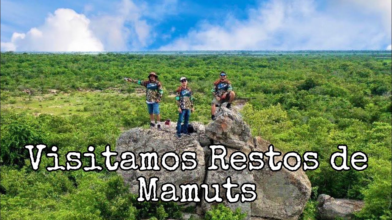 XICOTENCATL TAMAULIPAS