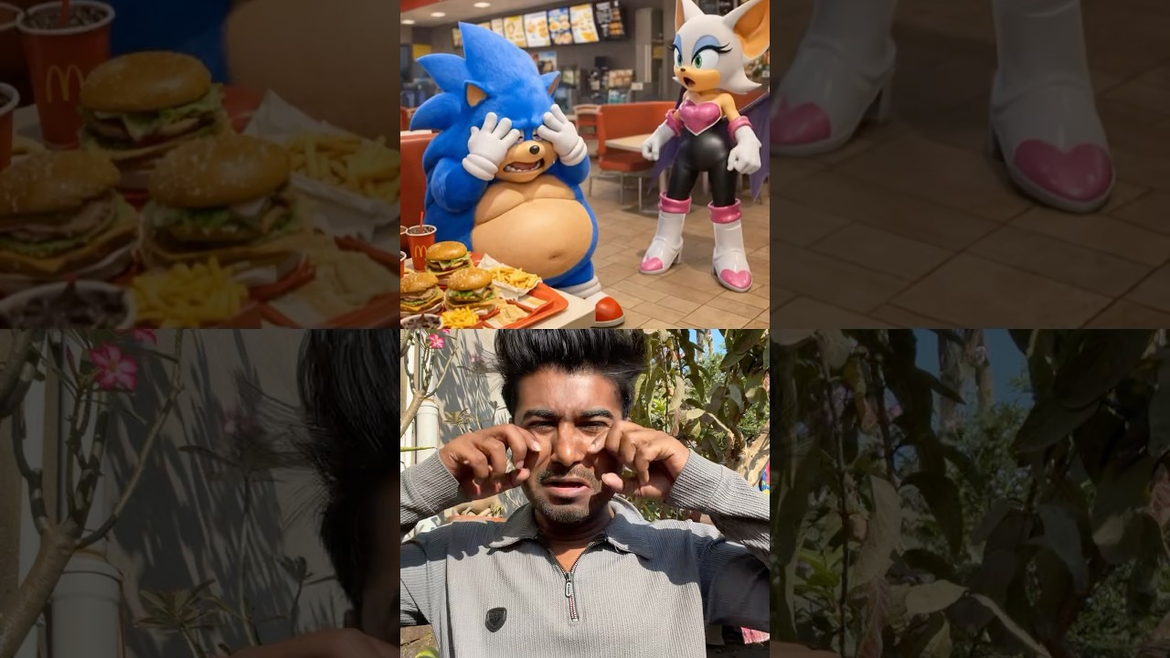 Rouge Made Fun of Sonic - Big Regret #funkopop#sonic #sonicmemes #fatsonic #glowup #dontbully#meme