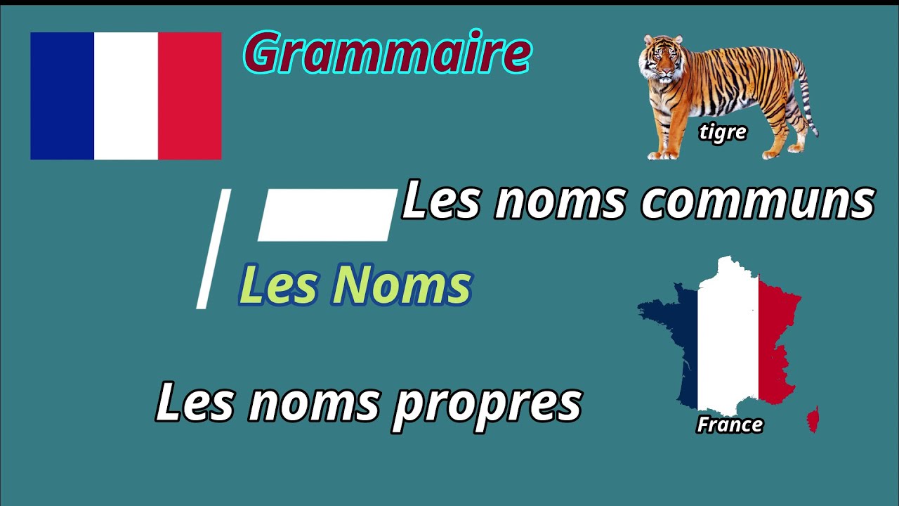 Quelle est la différence entre un nom commun et un nom propre ?