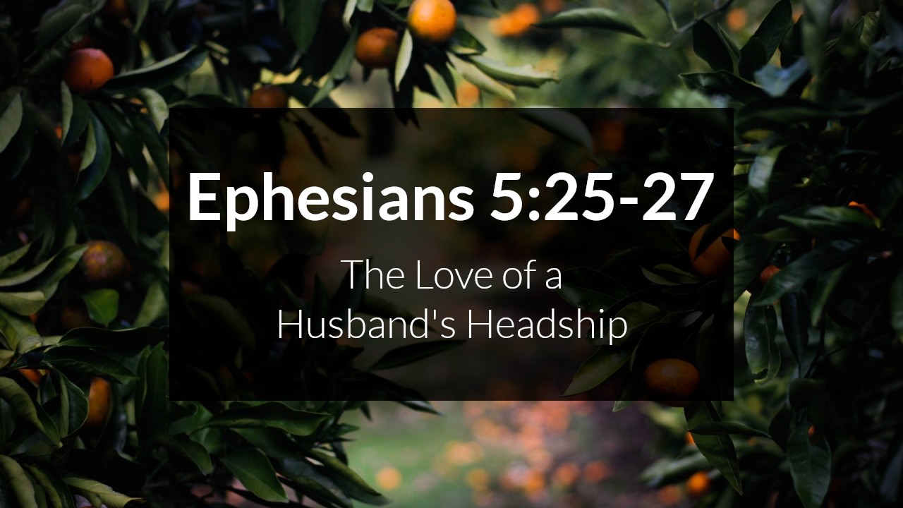 The Love of a Husband’s Headship - Ephesians 5:25-27