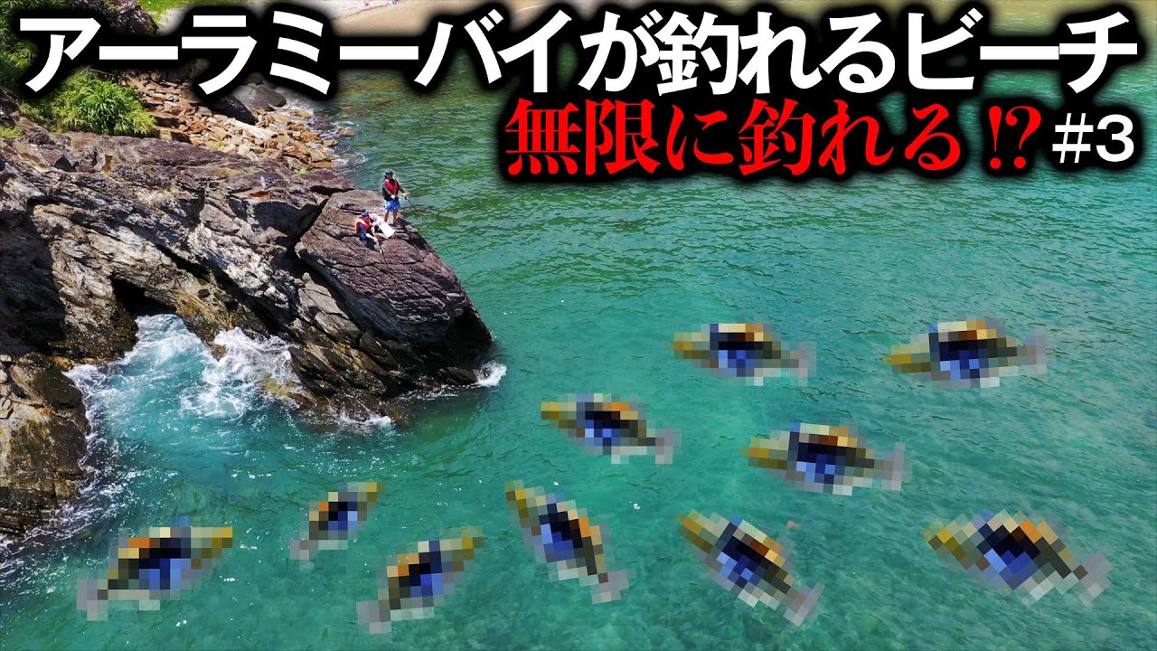 【#3】ある魚が無限に釣れる！未開拓の磯で釣りしたら大変なことに！？【立ち入り禁止のビーチからアーラミーバイを狙え！】