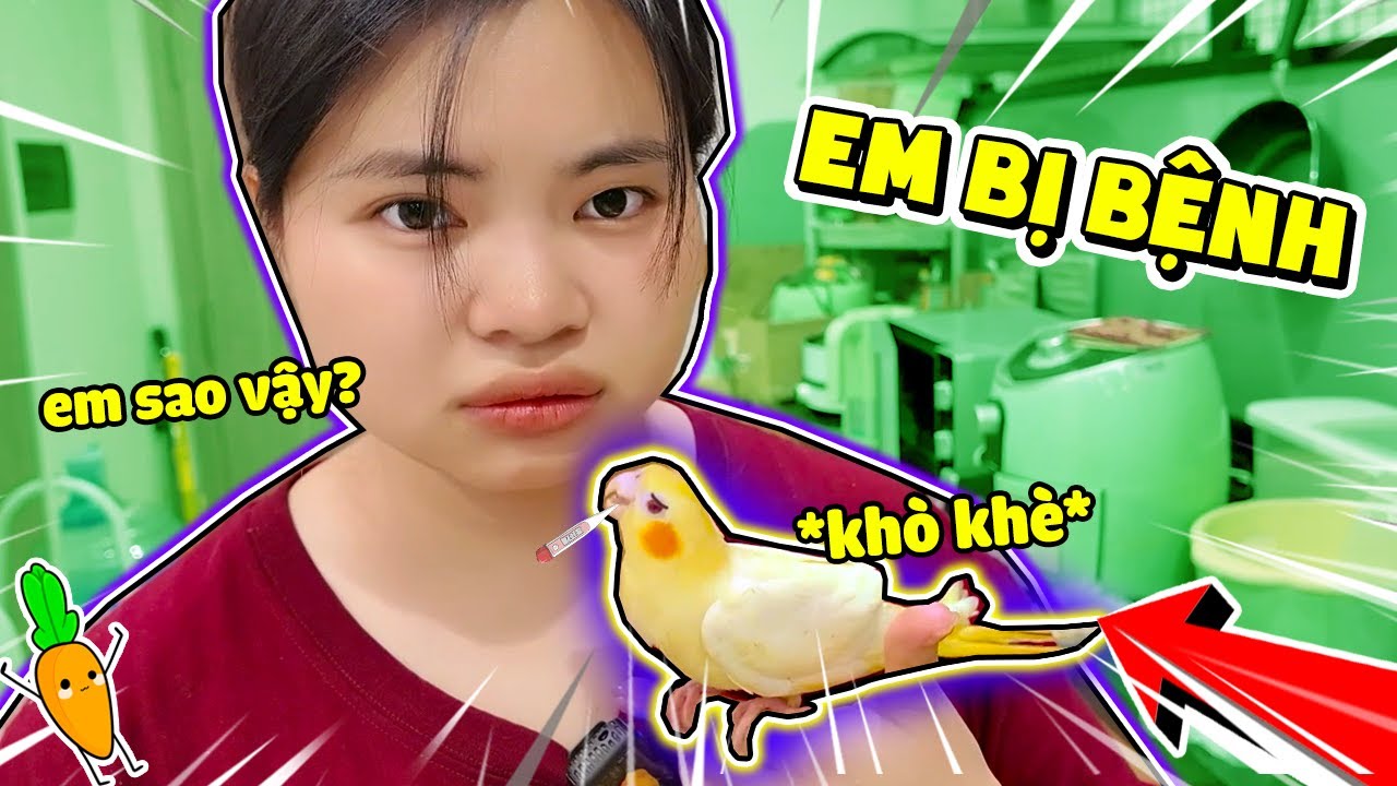 EM VẸT MÁ HỒNG BỊ BỆNH | EM BIẾT BAY BÁO KAMUI HOANG MANG
