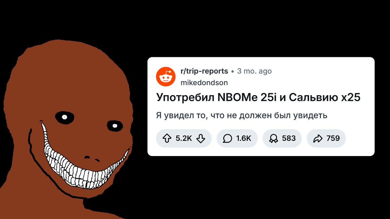 НЕВЕРОЯТНЫЙ Трип Репорт с Reddit