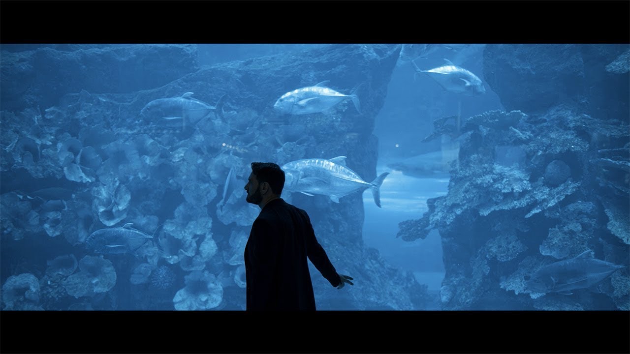 Gianluca Capozzi -  Ho Fatto un sogno - (Video Ufficiale)