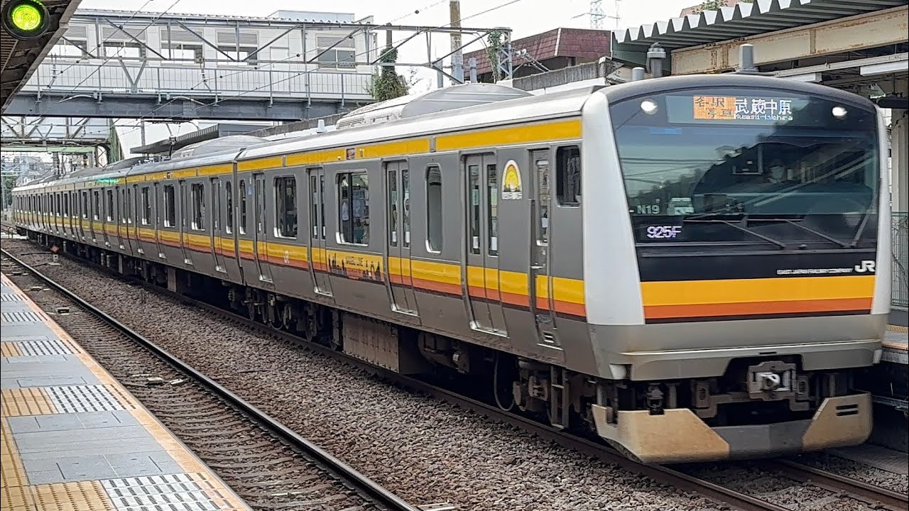 JR南武線E233系8000番台N19編成〔各駅停車 武蔵中原行き／矢向駅到着・発車〕