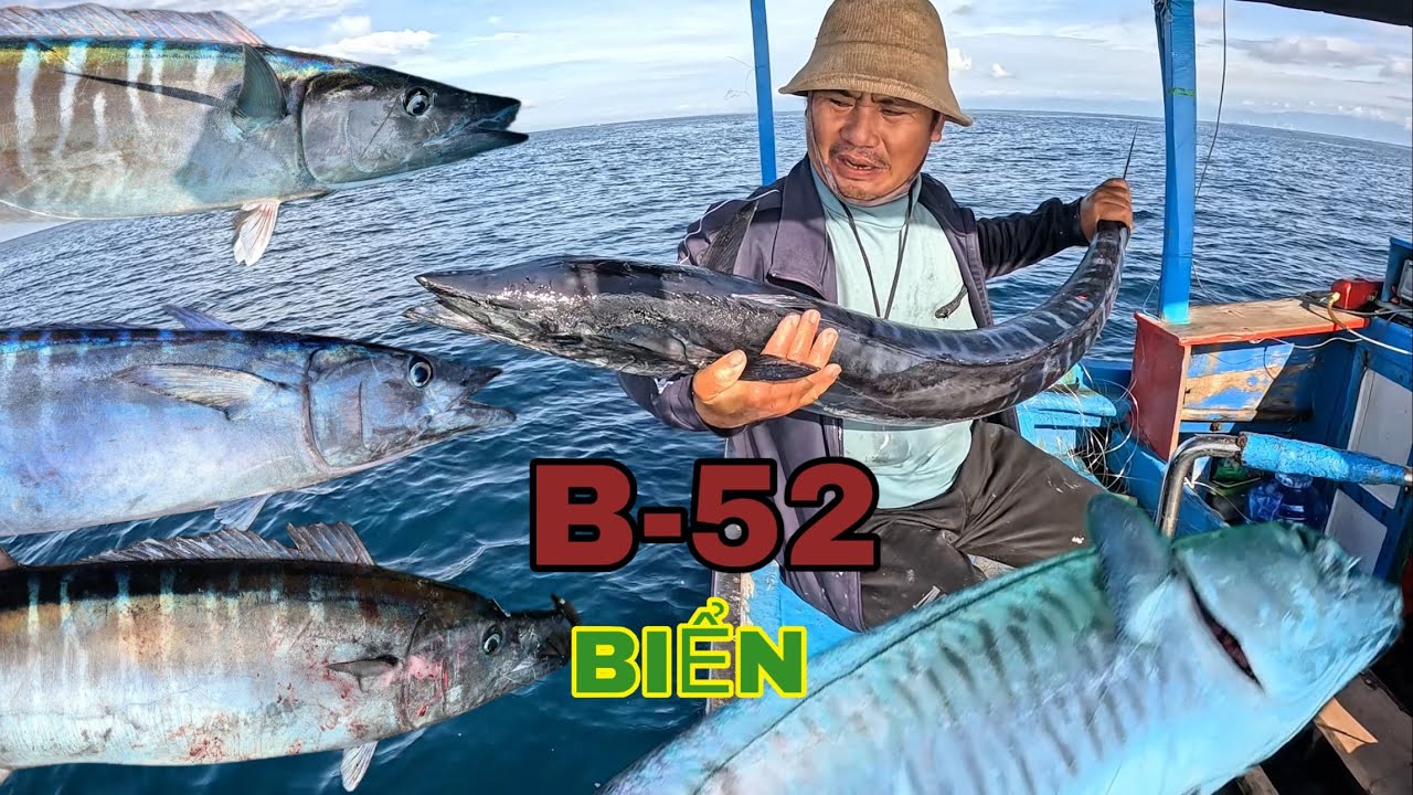 775 ) CHINH PHỤC LOÀI CÁ THU NHANH NHẤT ĐẠI DƯƠNG, MỖI CON NẶNG HÀNG CHỤC KÍ.