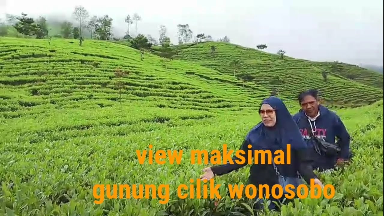 sisi lain gunung sindoro#wisata #pendaki 