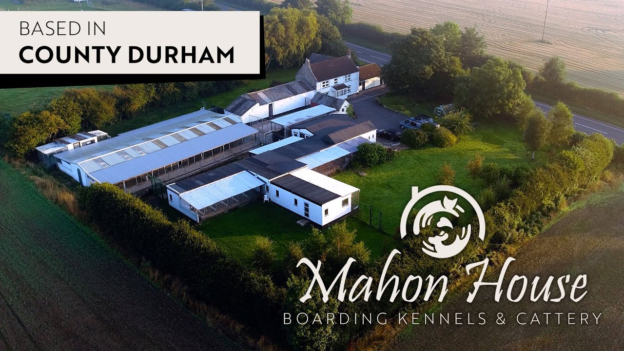 Mahon House Boarding Kennels & Cattery