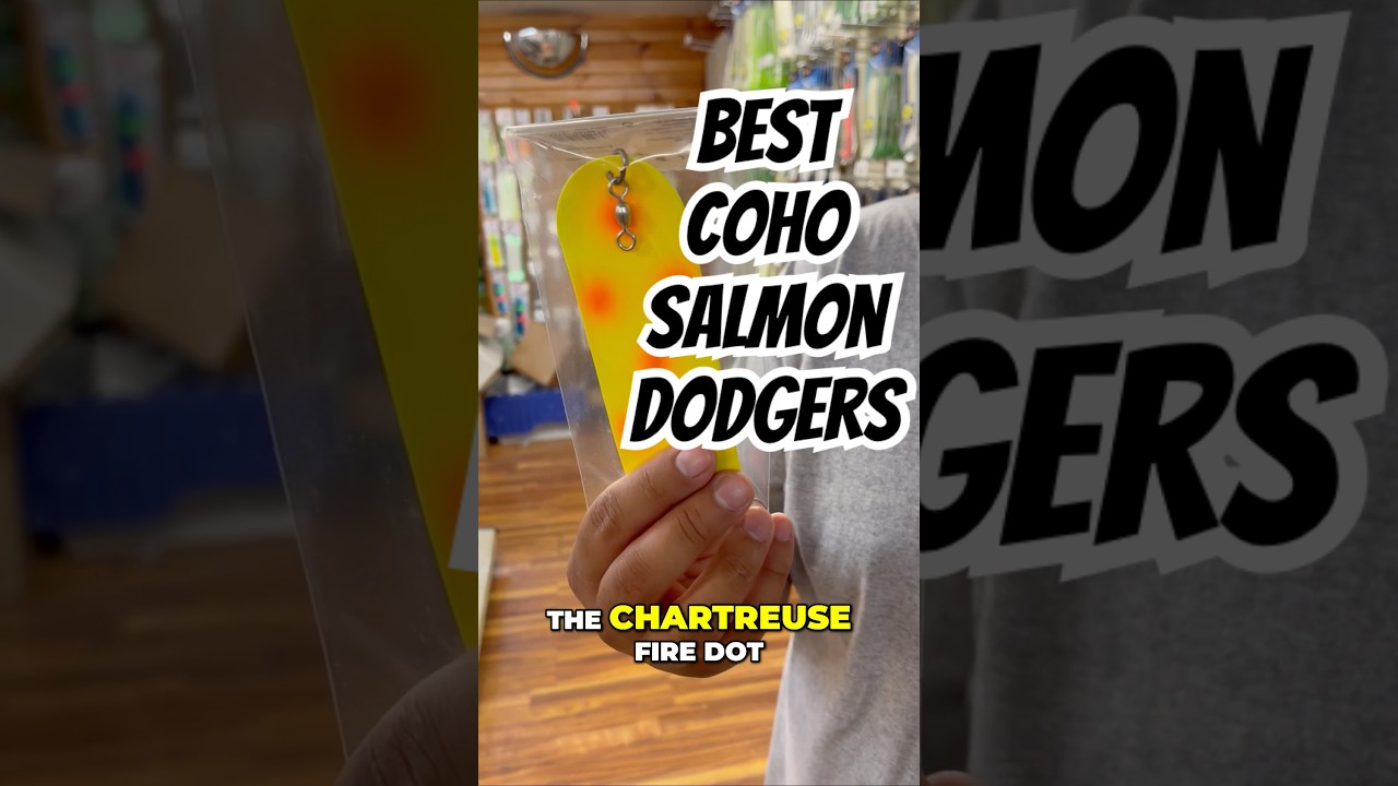 Coho Dodgers!  Best dodgers for coho salmon and how to use them.  #fishing #salmonfishing