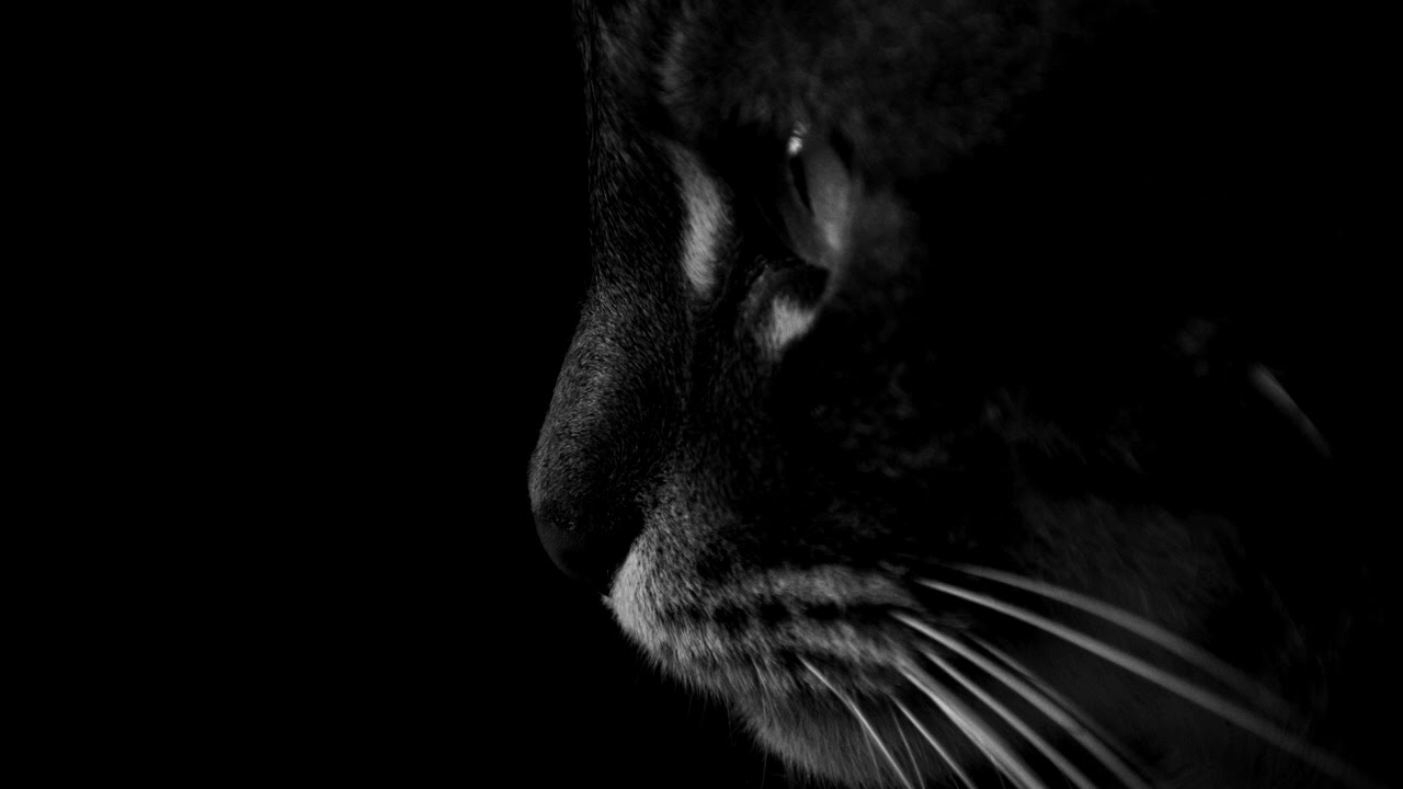 Stoto - Still Can't Sleep (Chillout Mix)