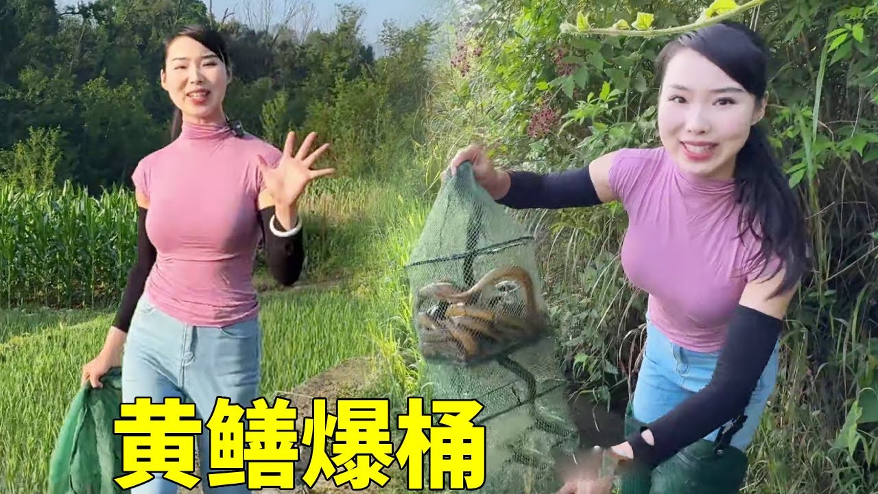 大哥花1000包下我50个地笼的收获，血赚还是血亏？【文杰吖】