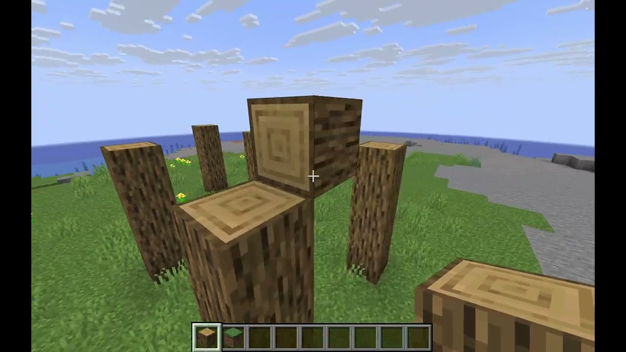Minecraft fun