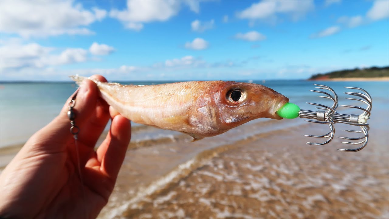 Big Squid Cannot Resist This Bait!!