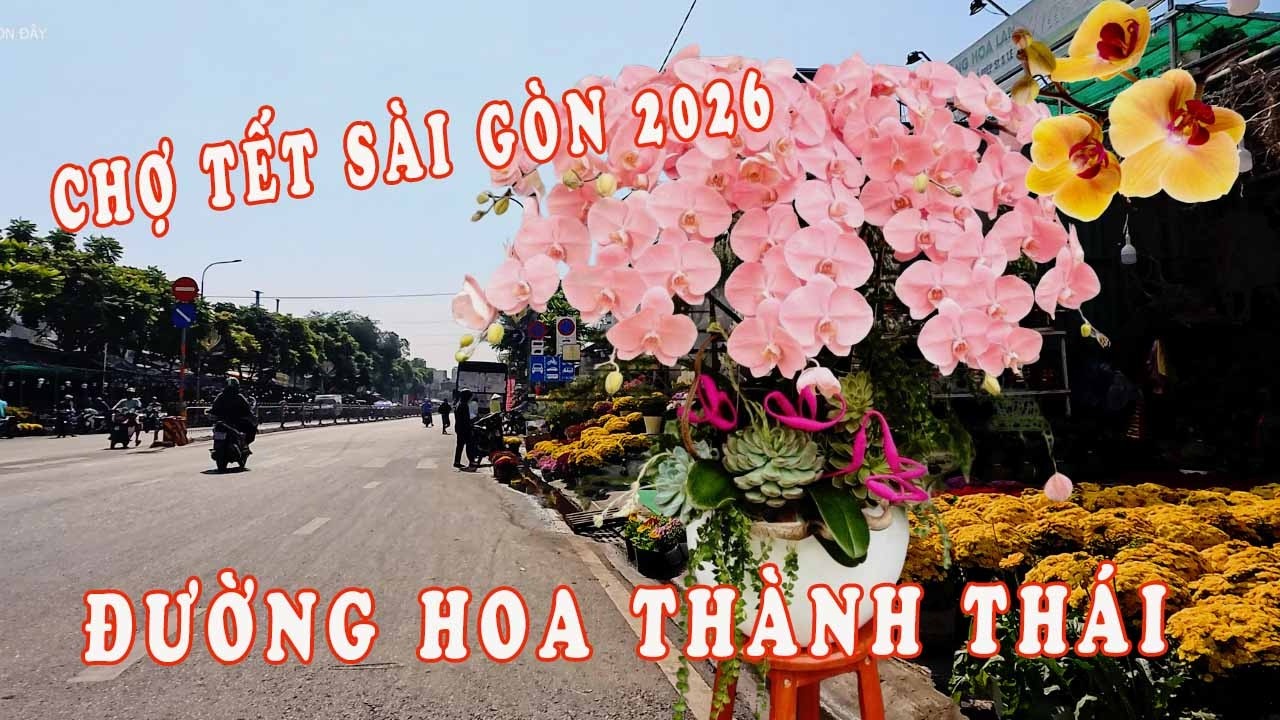 CHỢ HOA TẾT SÀI GÒN 2026 - CHỢ HOA TẾT ĐƯỜNG THÀNH THÁI | SÀI GÒN ĐÂY