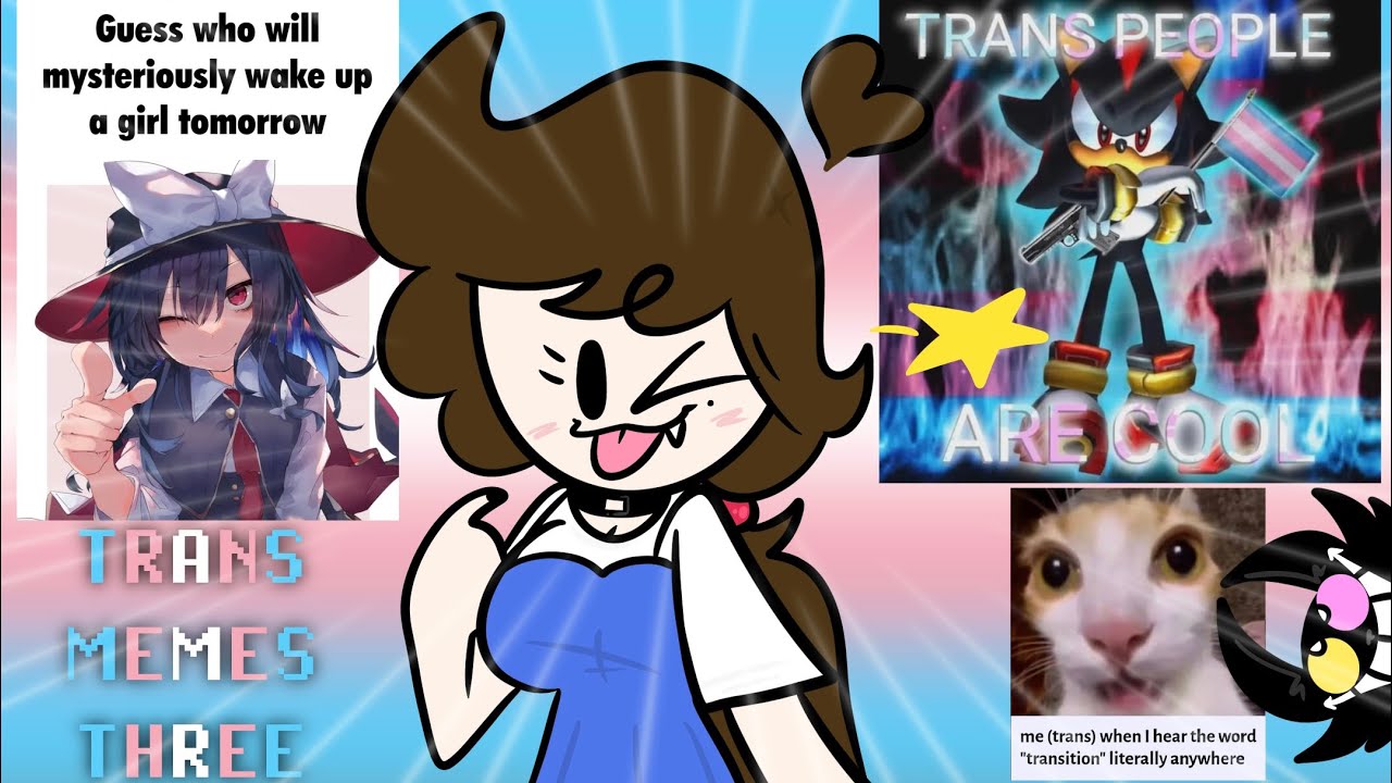 TRANSFEM REACTS TO TRANS MEMES 3!!!