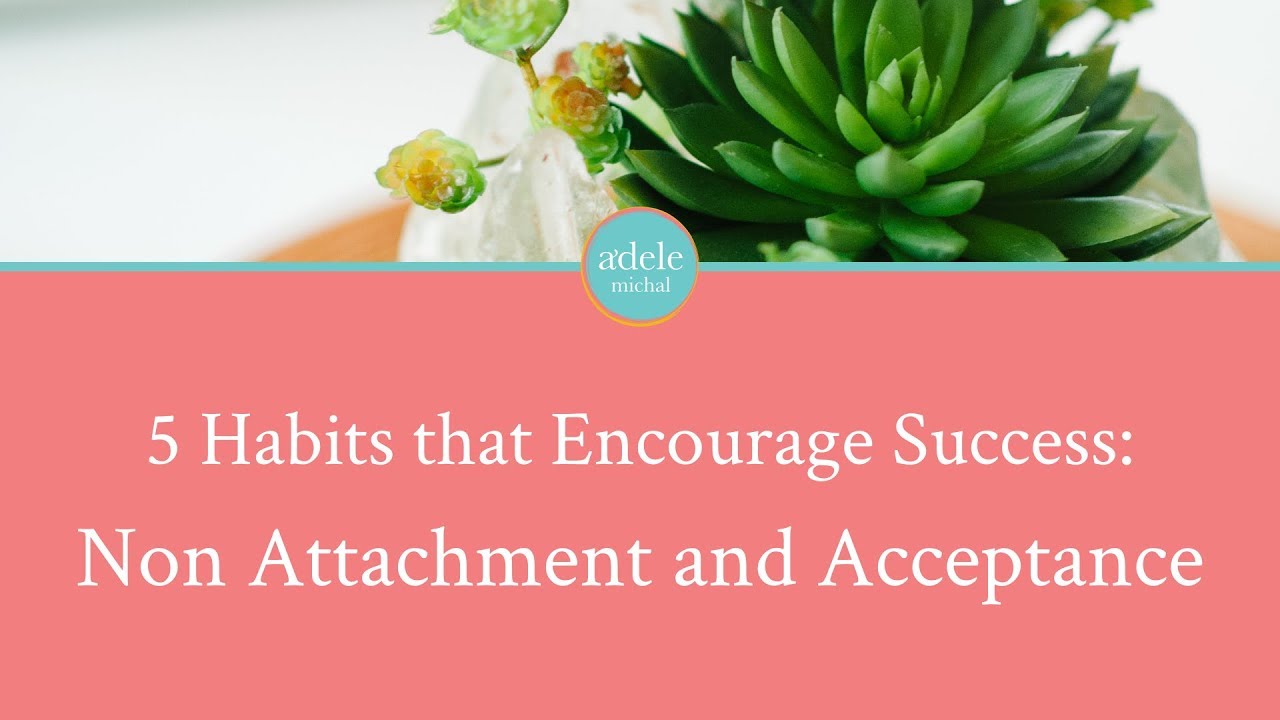 Habits that Encourage Success - Non Attachment & Acceptance