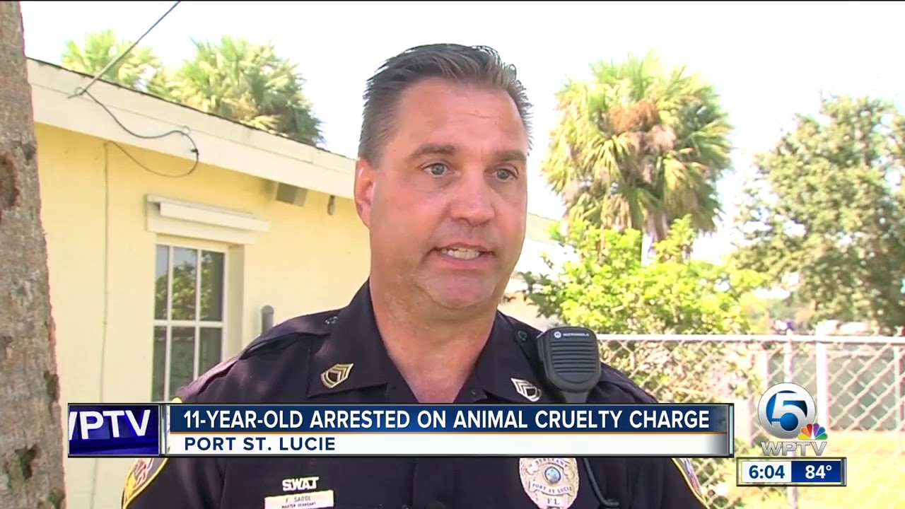 Police: 11-year-old charged with animal cruelty