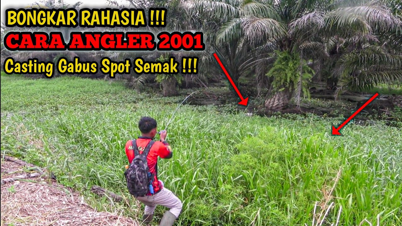 ADA IKAN BESAR DIBAWAH RUMPUT TEBAL !!! 😱 TERCYDUK PAKAI SF BUFO 👍