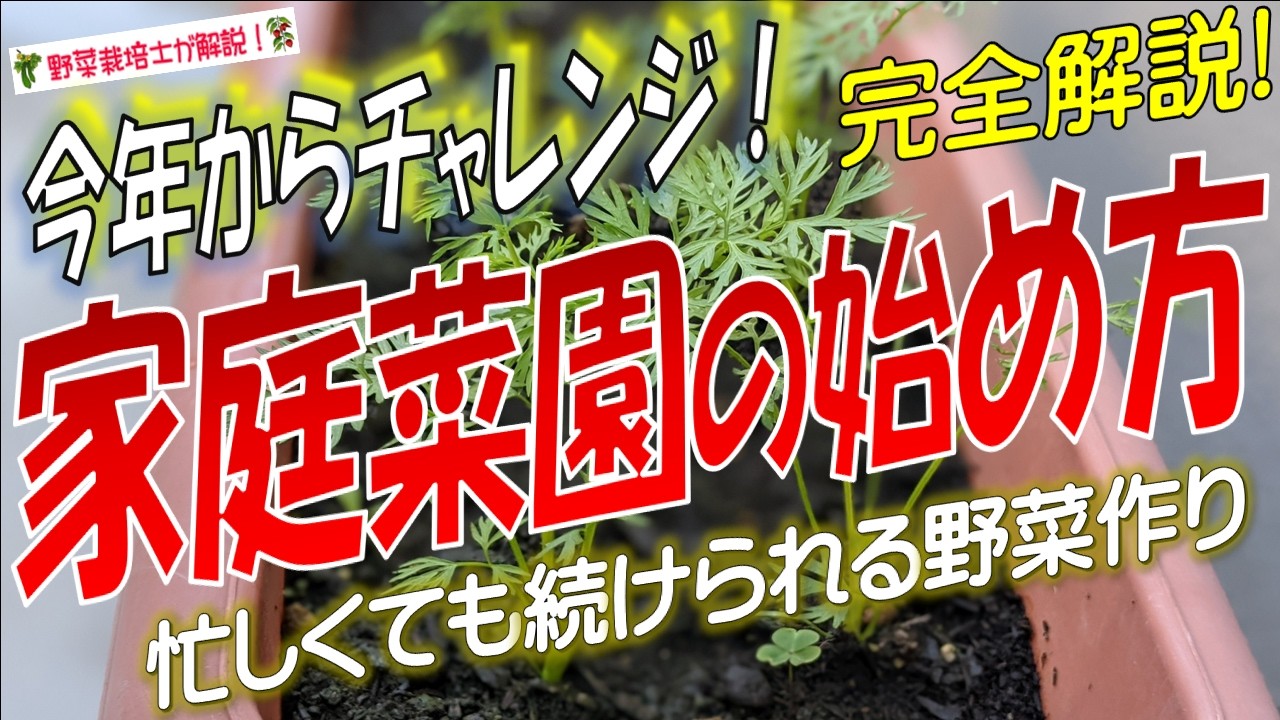家庭菜園の始め方【誰でも簡単！気軽に始められる野菜作り】