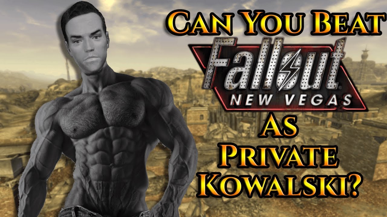 Can You Beat Fallout: New Vegas AS Private Kowalski?