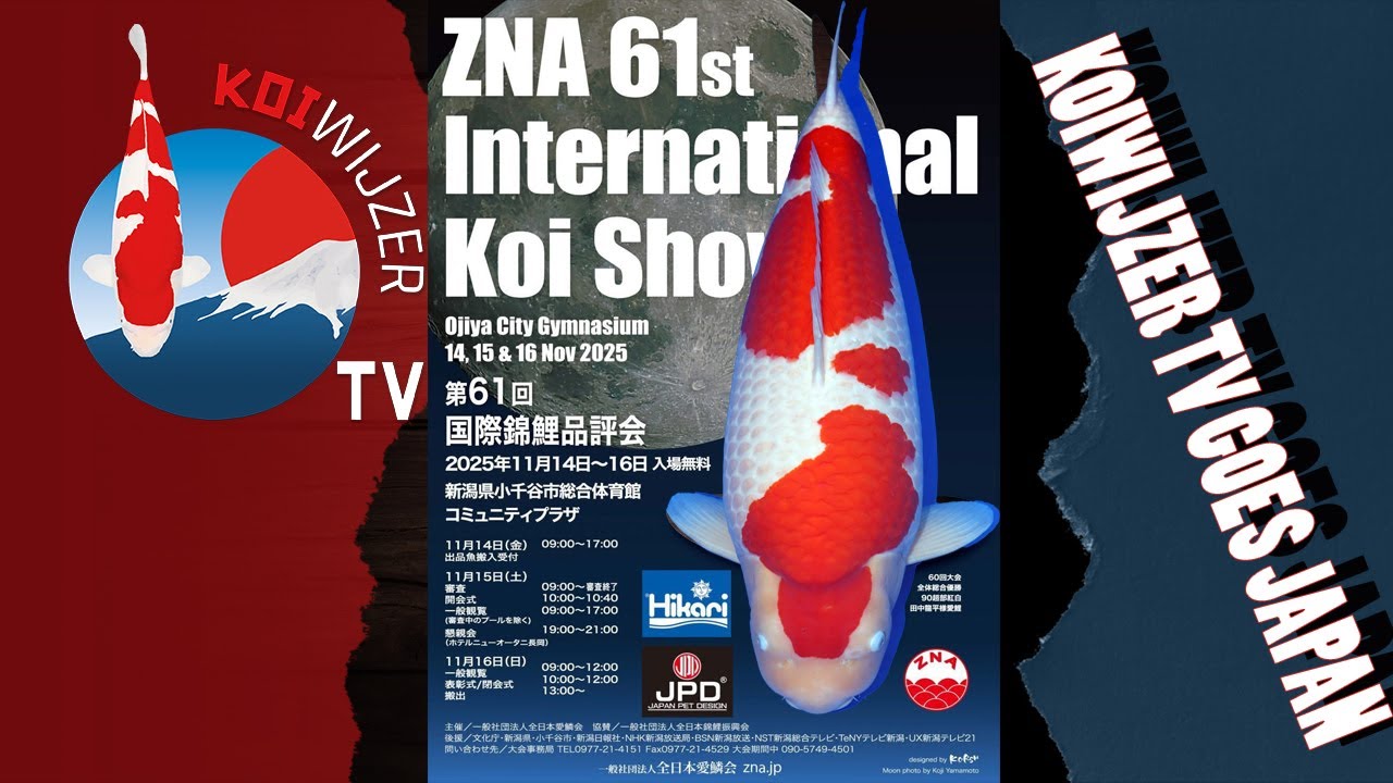 GENIETEN op de 61st ZNA International Koi Show!
