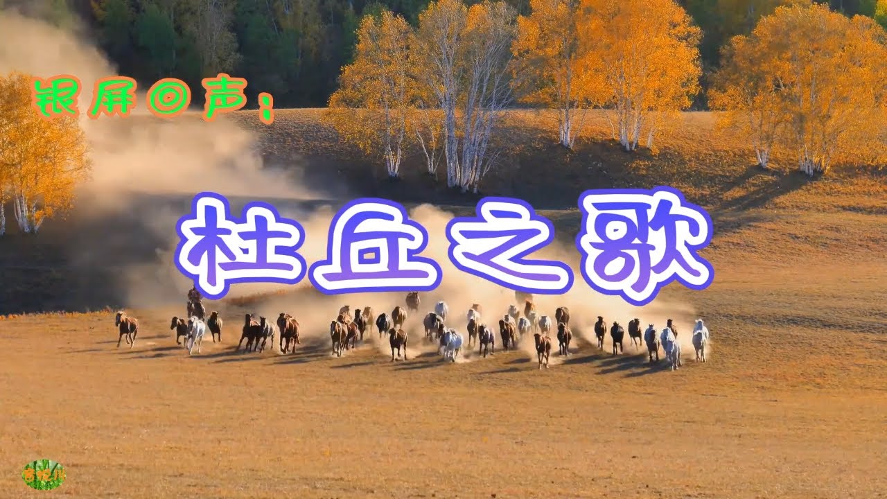 杜丘之歌 - 银屏回声。日本电影《追捕》主题曲