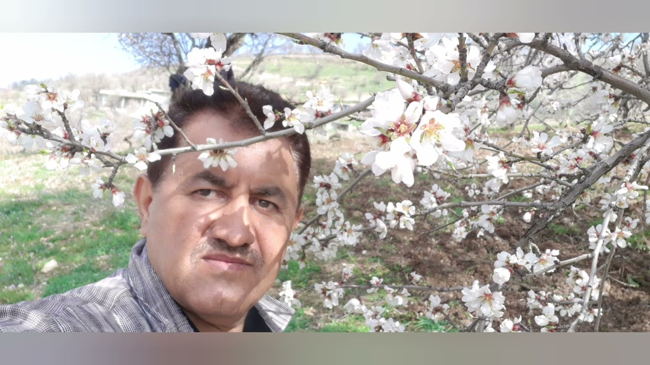 سەرچلە ...کاتی ڕەزو باخ کێڵان وپشکوتنی گوڵی چوالە ...١٥-٣-٢٠٢٤ ڕەزەکانی خۆمان