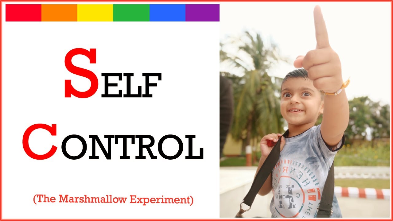 The Marshmallow Experiment | Self-Control | Long Term Goal | Delay Gratification