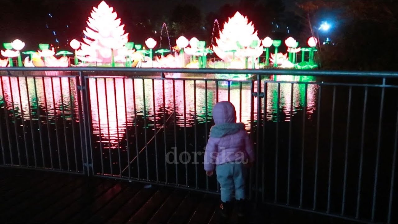 KIM JEST CZESIO? | WILD LIGHTS DUBLIN ZOO | DLM