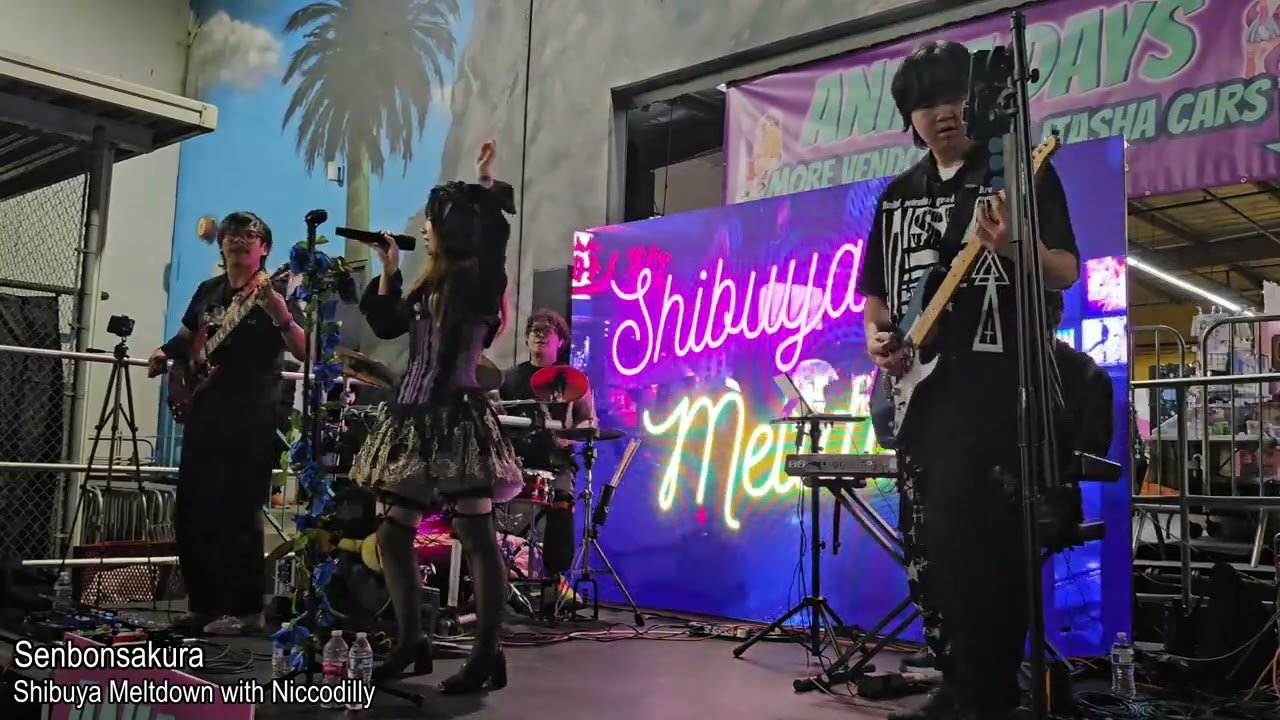 Shibuya Meltdown - Senbonsakura(by Hatsune Miku) @ AnimeDays 12/6/25