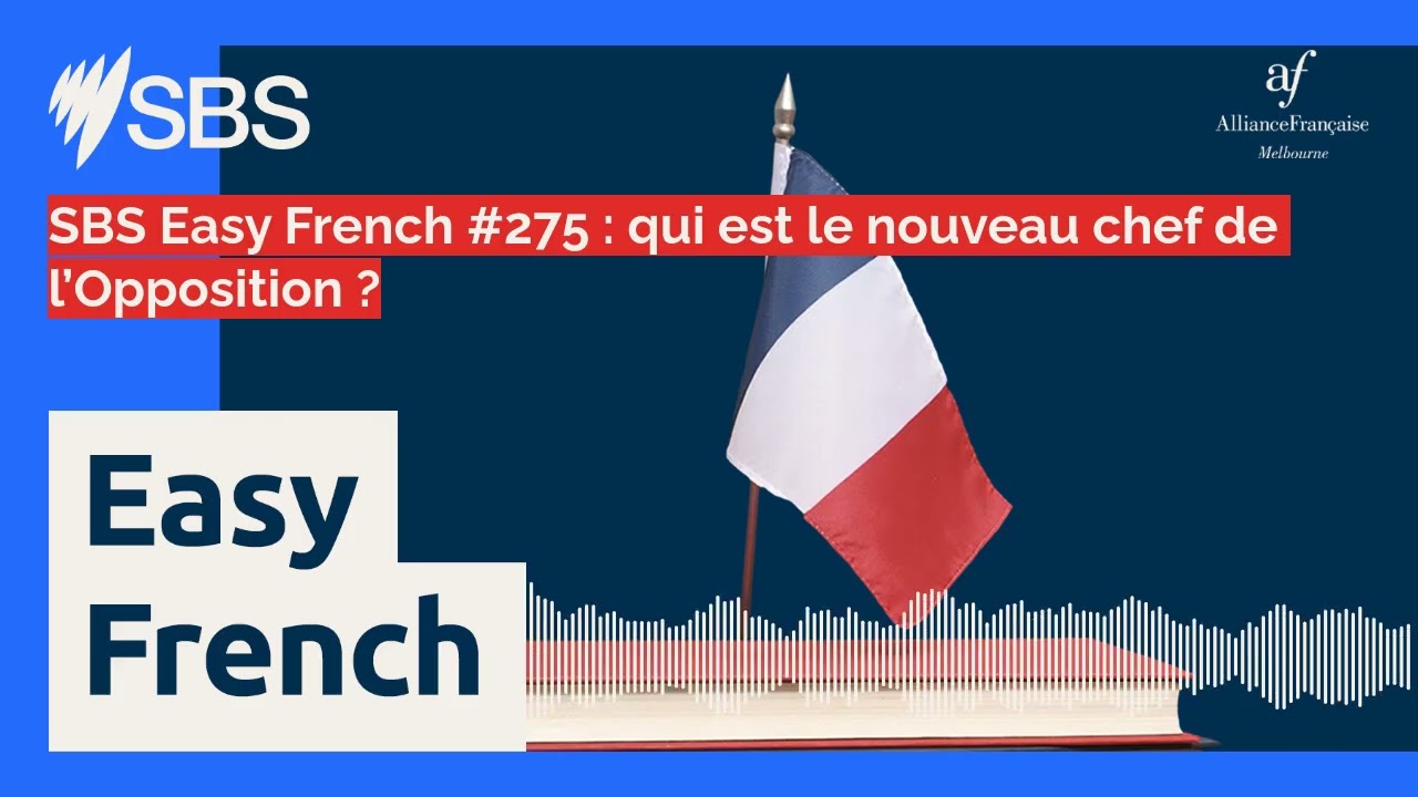 SBS Easy French #275 : qui est le nouveau chef de l’Opposition ? | SBS Easy French