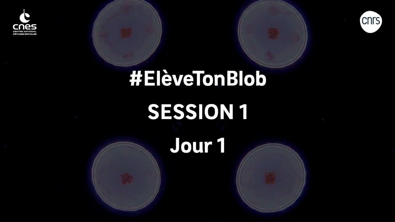 Exp&eacute;rience Blob ISS   Timelapse Session 1   Jour 1