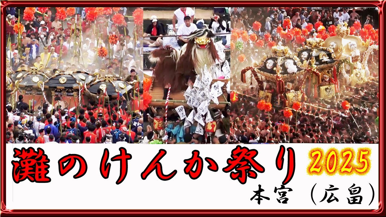 迫力満点！「灘のけんか祭り」神輿合わせ・屋台練り・獅子舞 Nada Fighting Festival◆本宮広畠(2025/10/15)