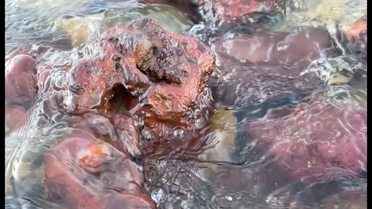 Water sounds compilation.