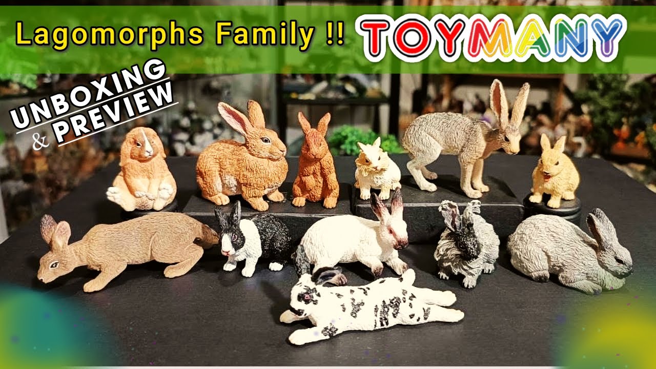 The Best Rabbit Figures? Toymany's New release !!!!😍