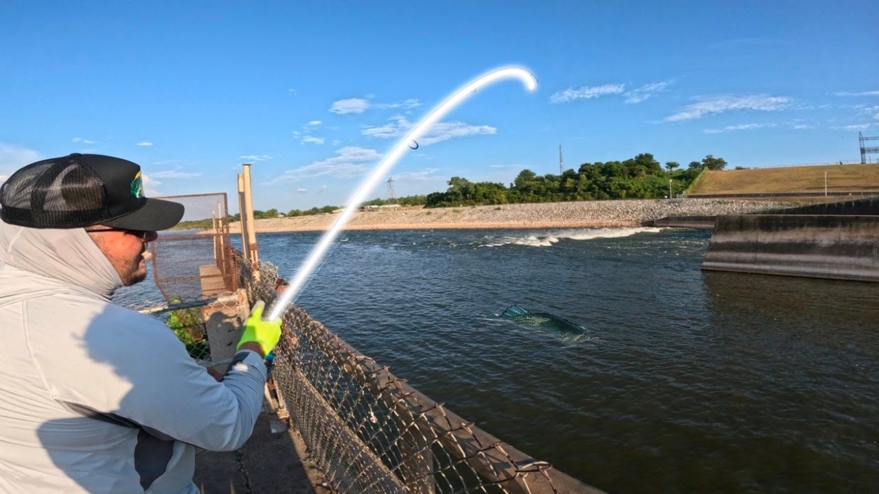 Denison Dam Stripers | Oklahoma Side